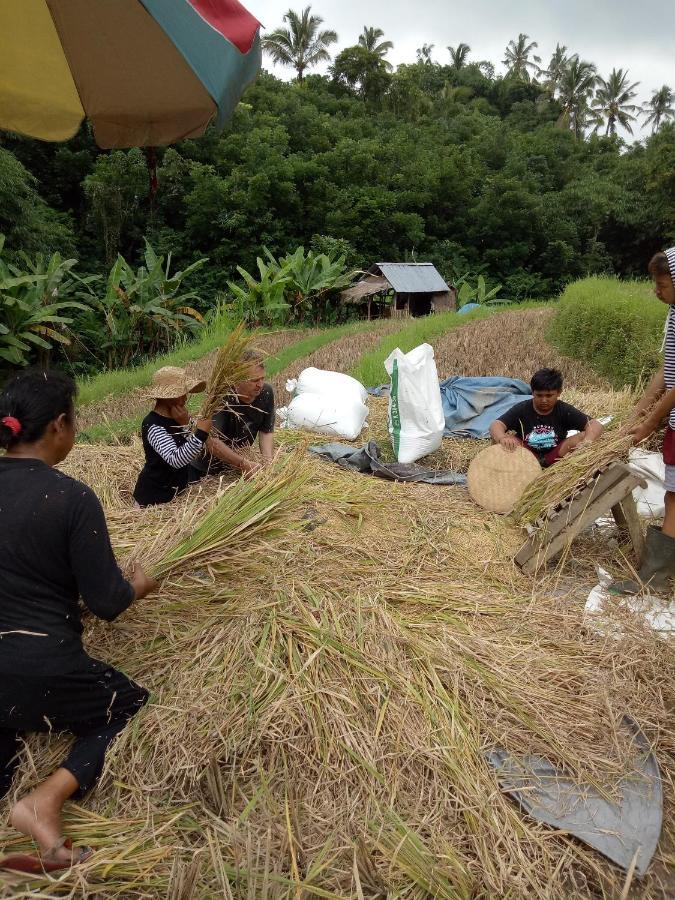 Babahan Farmstay Selemadeg 외부 사진