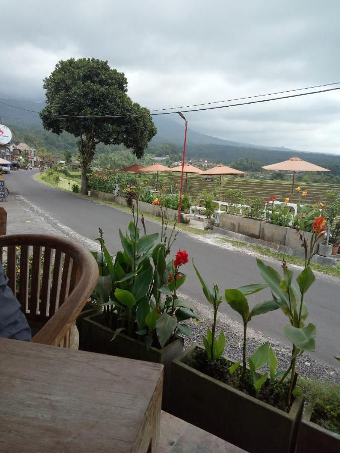 Babahan Farmstay Selemadeg 외부 사진