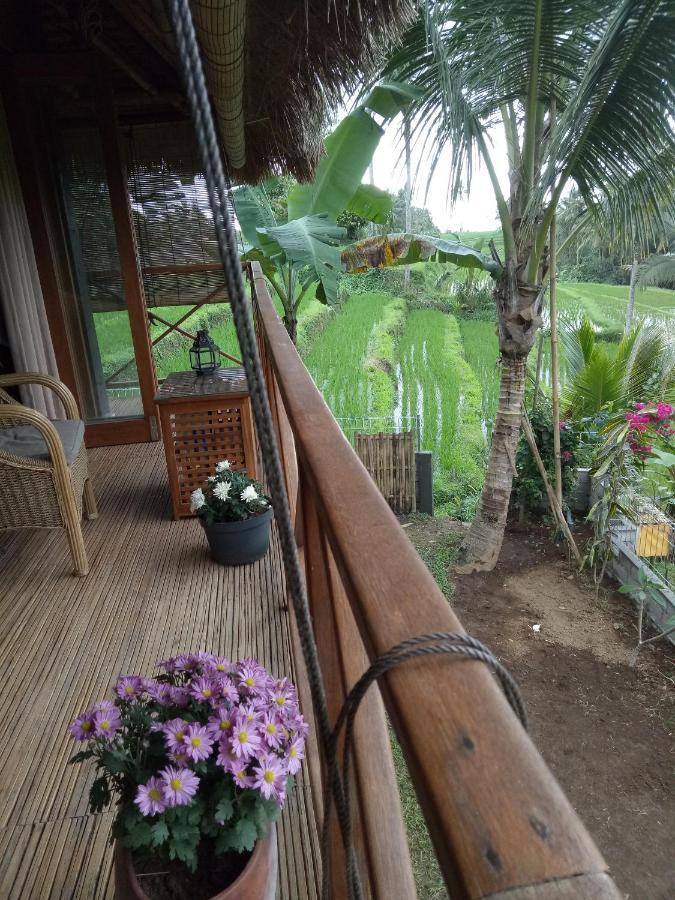 Babahan Farmstay Selemadeg 외부 사진