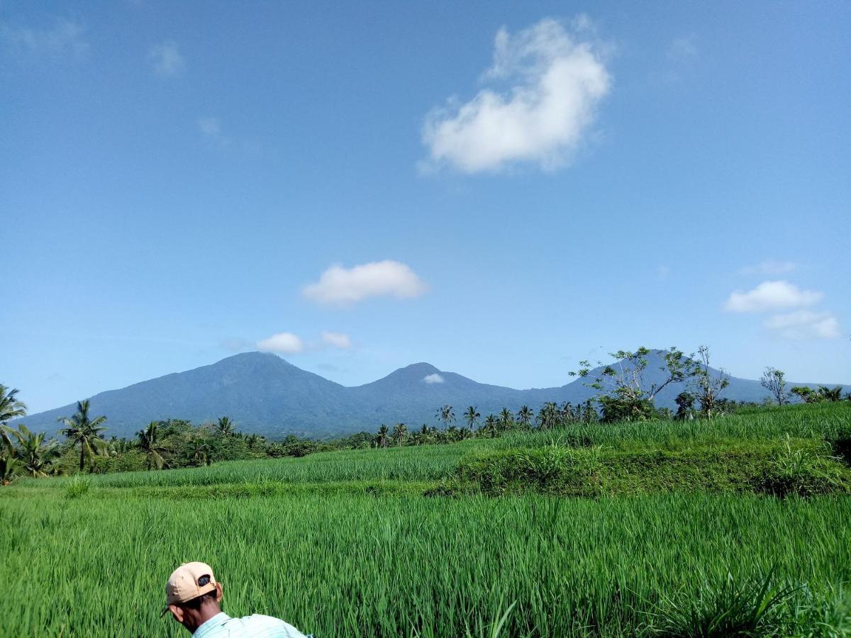 Babahan Farmstay Selemadeg 외부 사진