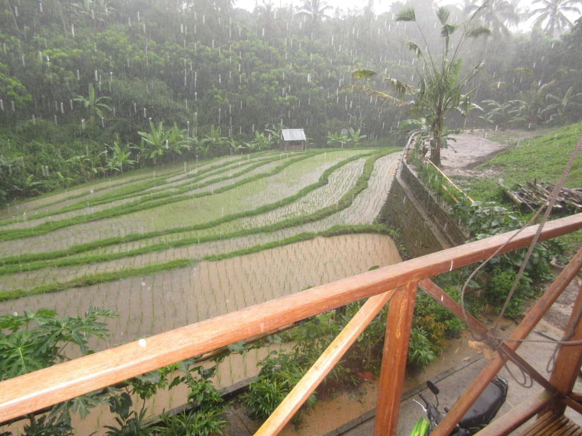 Babahan Farmstay Selemadeg 외부 사진