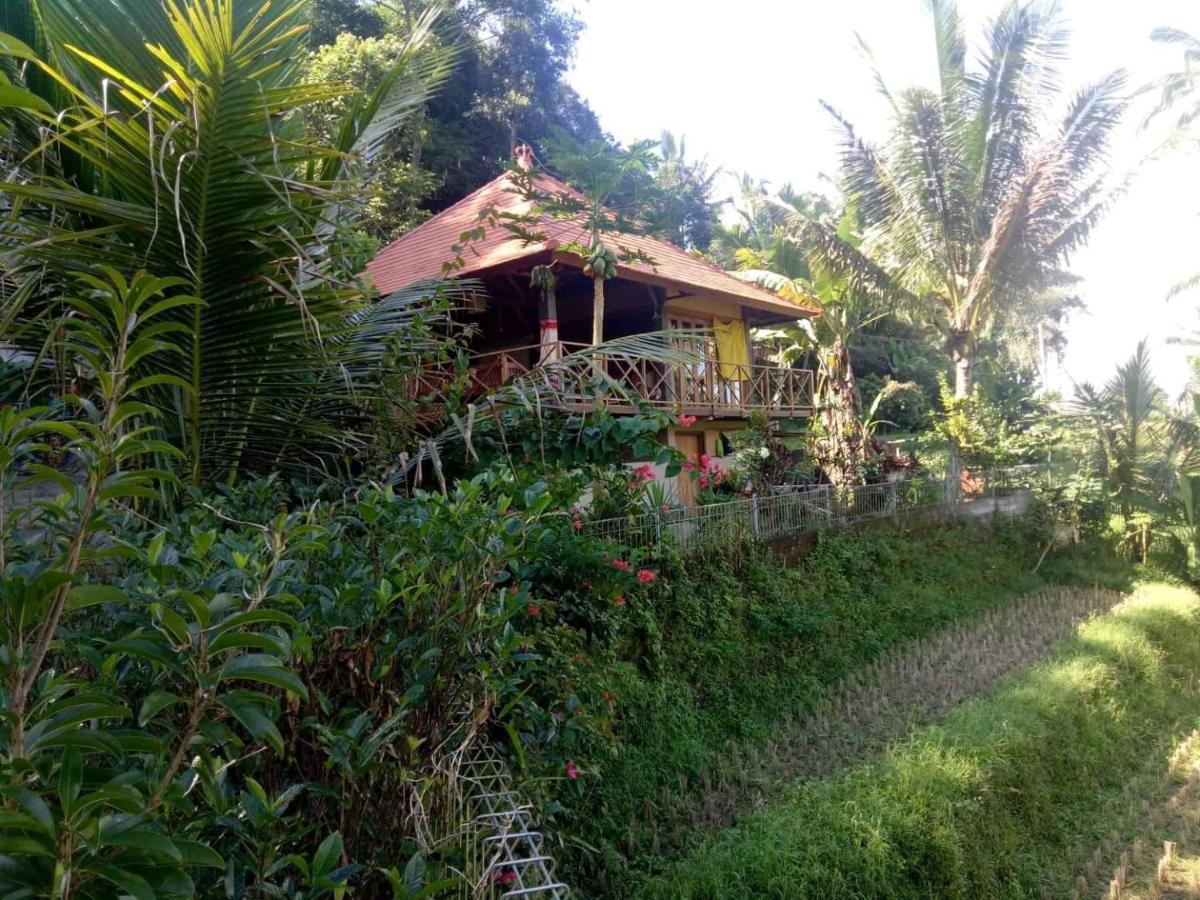 Babahan Farmstay Selemadeg 외부 사진