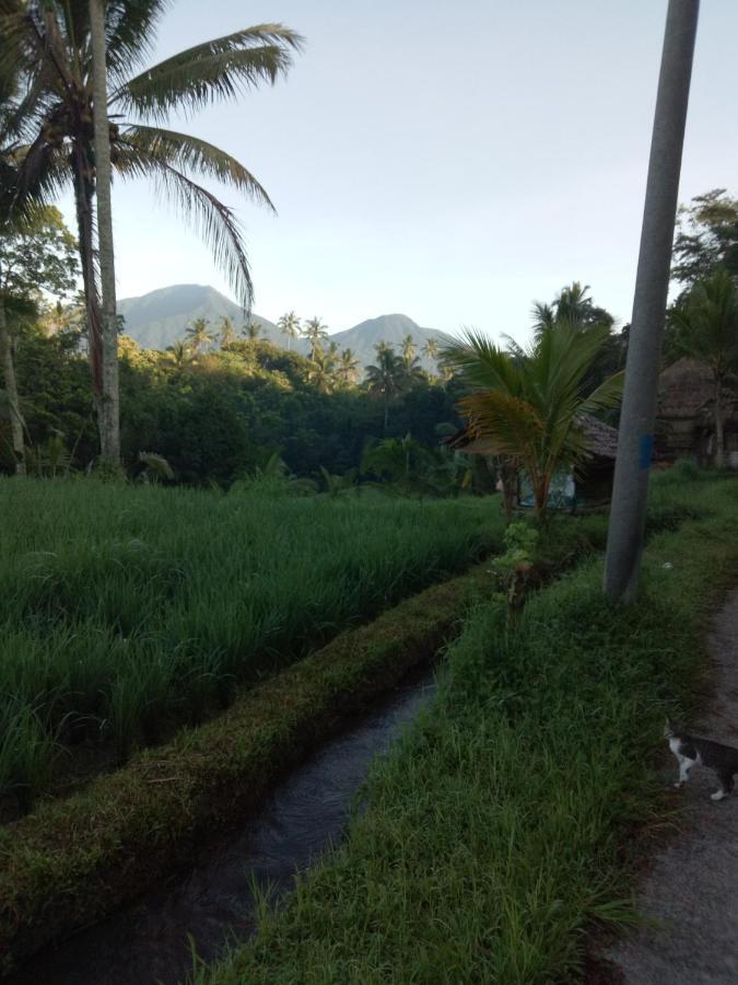 Babahan Farmstay Selemadeg 외부 사진